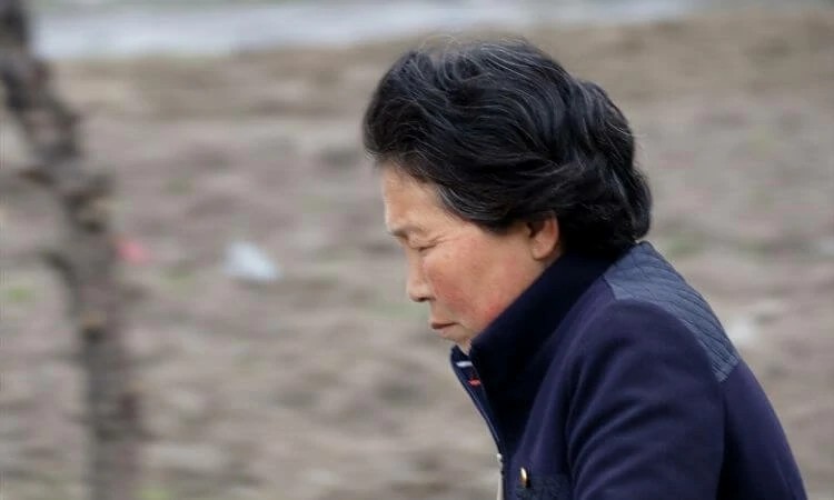 Coreanos do norte adoram líder fundador, e os do sul escolhem os representantes governamentais